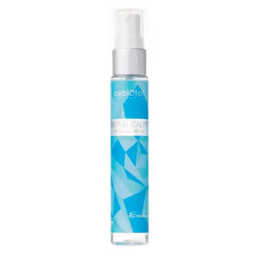 [60107] BRISA MENTA EUCALIPTO 250ml